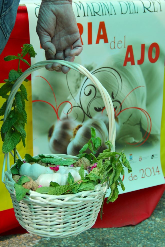 AjoSantaMarina4