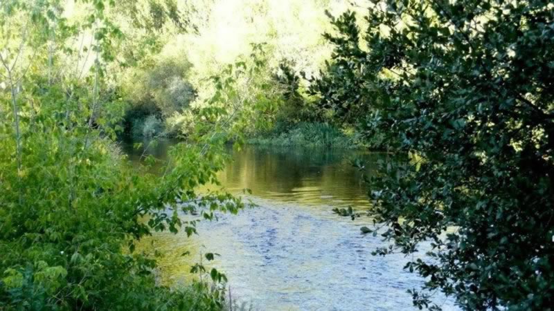 Río Órbigo