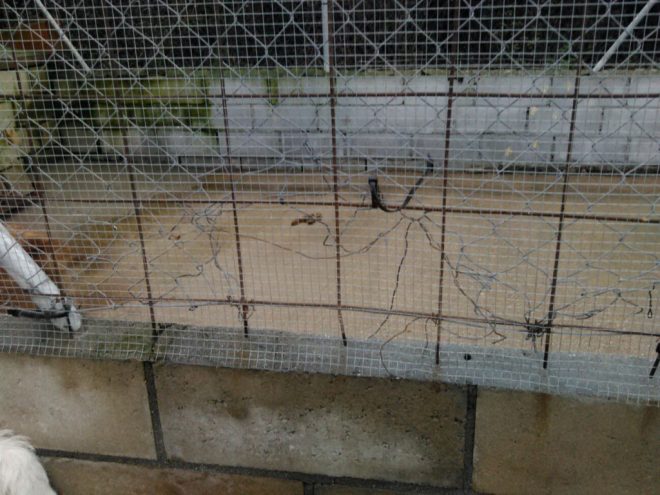IMG-20151223-WA0003