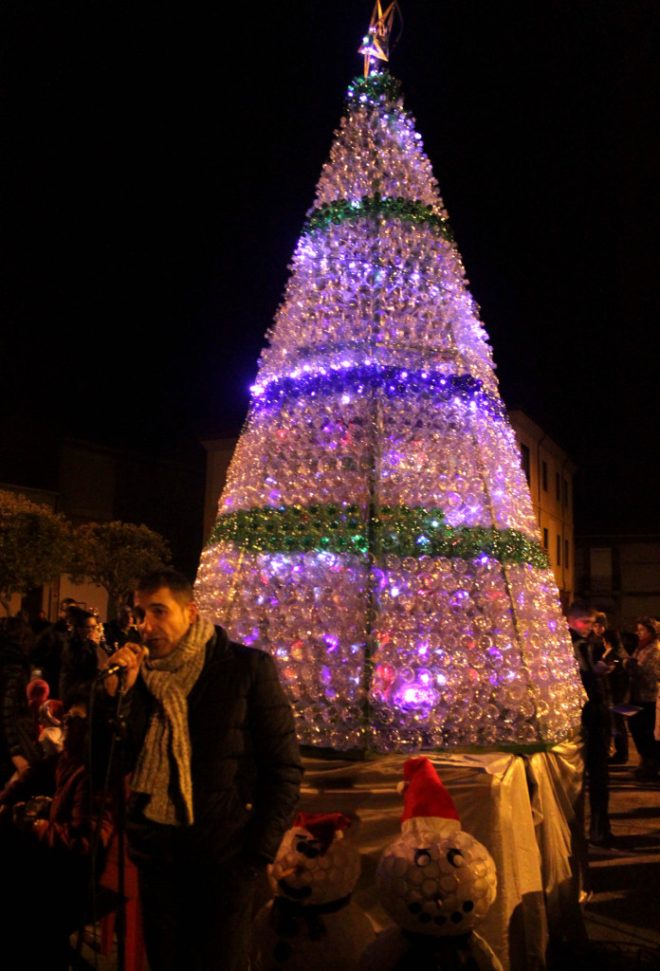 arbol 1