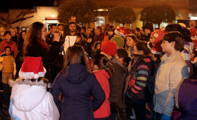 arbol 3
