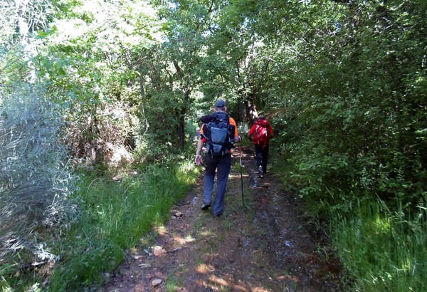 camino olvidado 1