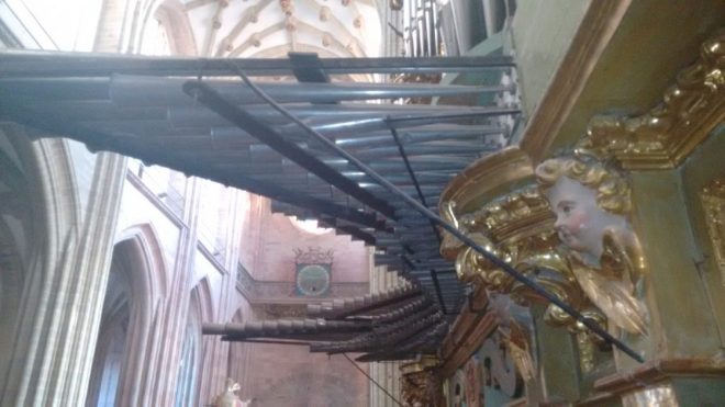 detalle del órgano de la Catedral