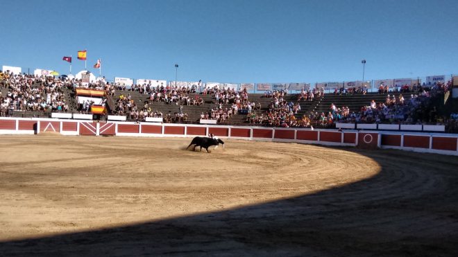 recortadores Santa Marta 2016