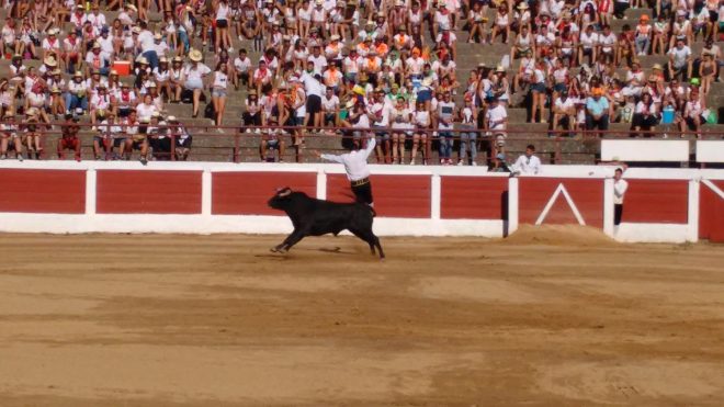recortadores Santa Marta 2016