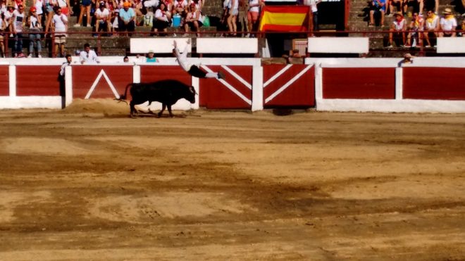 recortadores Santa Marta 2016