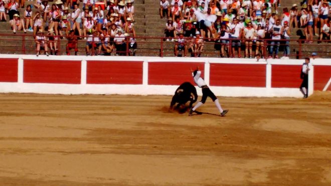 recortadores Santa Marta 2016