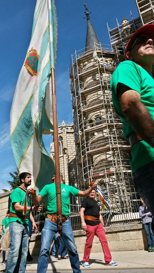 izado bandera león