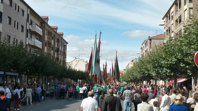 izado bandera león