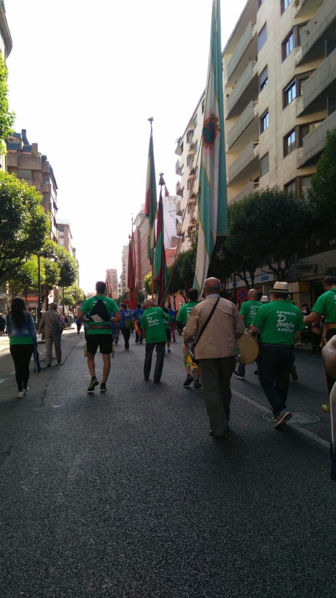 pendon astorga san froilán 2016 3
