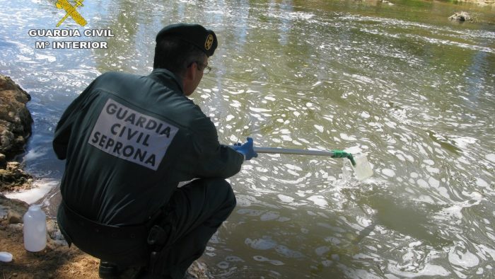 Las diligencias por el vertido que se saldó con 400 truchas y 170 gobios muertos en el Tuerto concluyen con tres investigados