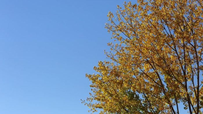 El otoño llega el domingo a las 14.44 horas