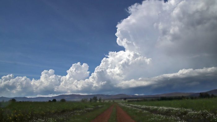 La Aemet activa para este viernes los avisos amarillos por tormentas en todas las provincias de la Comunidad