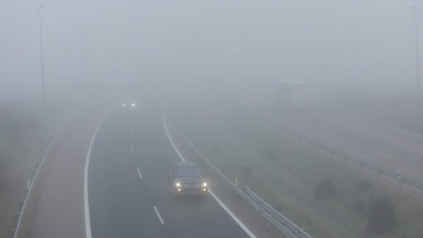 Niebla