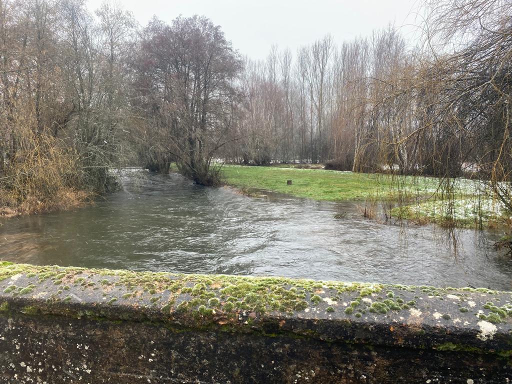 Río Tuerto a su paso por Donillas.