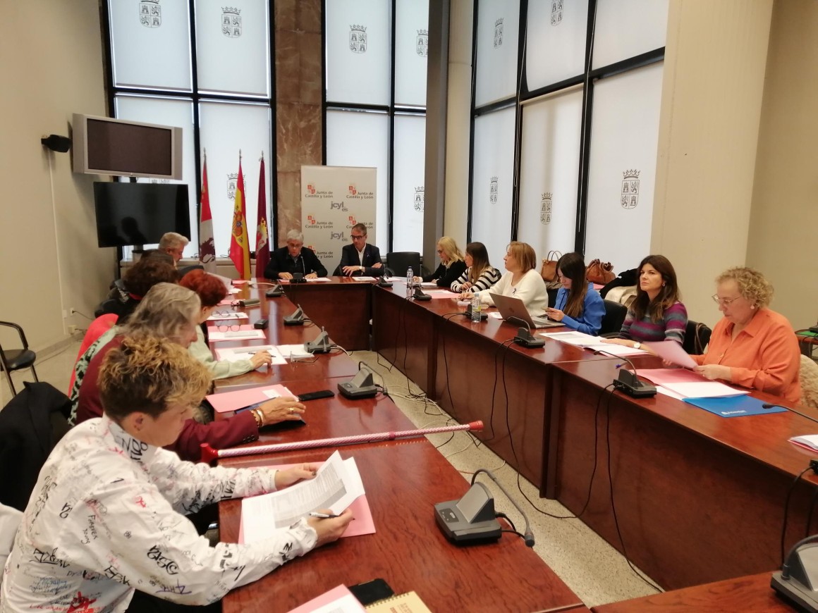Comisión Territorial contra la Violencia de Género. / Junta de Castilla y León