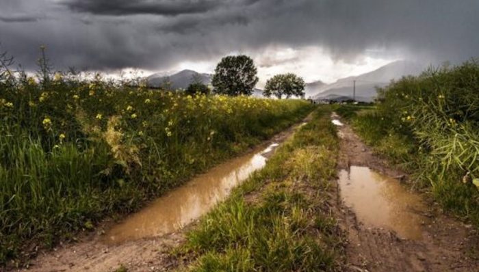 Asaja pide a los ayuntamientos de la provincia de León que protejan los caminos rurales