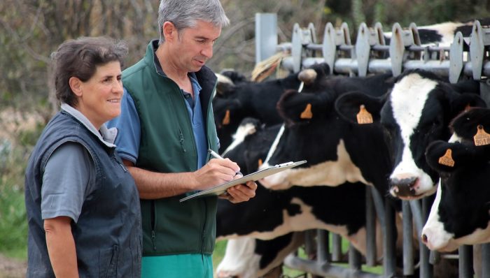La falta de veterinarios en el medio rural amenaza el futuro de la ganadería extensiva en León