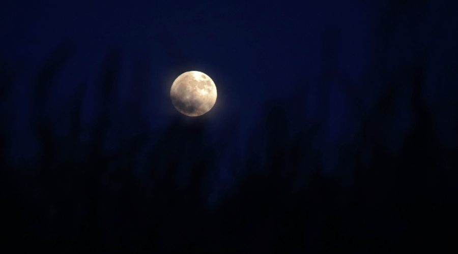 La precesión nodal de la Luna hace que esta noche se alce a menor altura de lo habitual, un ciclo que no volverá hasta dentro de 19 años / Peio García