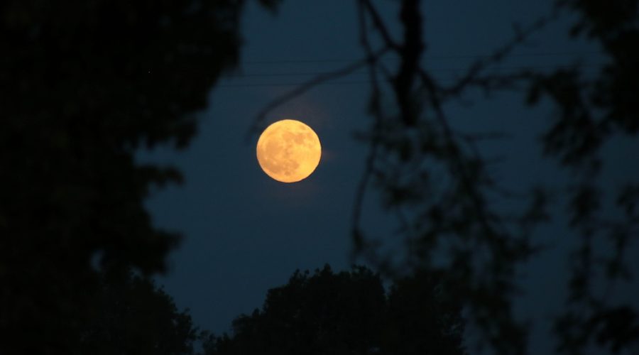 La precesión nodal de la Luna hace que esta noche se alce a menor altura de lo habitual, un ciclo que no volverá hasta dentro de 19 años / Peio García